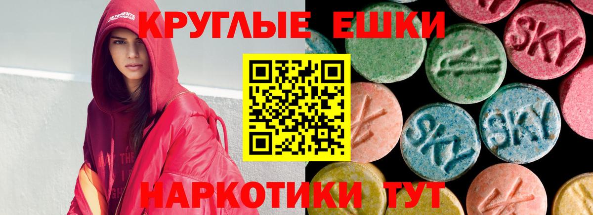 ЭКСТАЗИ Philipp Plein Обь