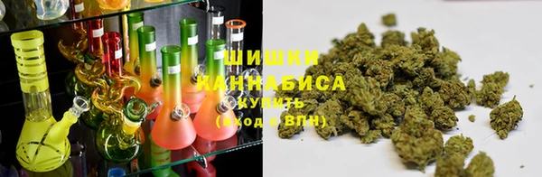 a pvp Белокуриха