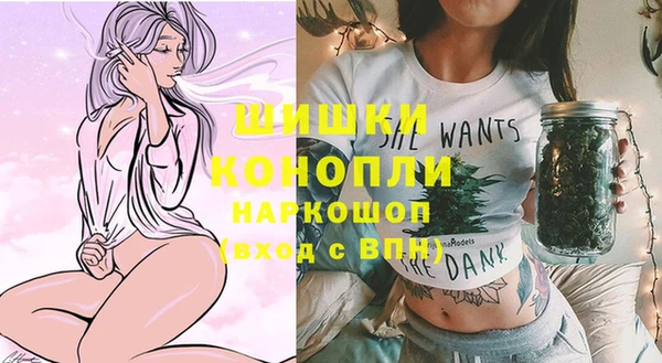 a pvp Белокуриха