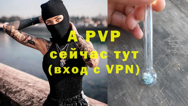 a pvp Белокуриха