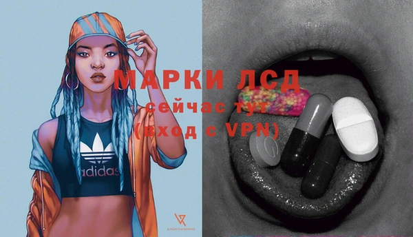 ПСИЛОЦИБИНОВЫЕ ГРИБЫ Белоозёрский