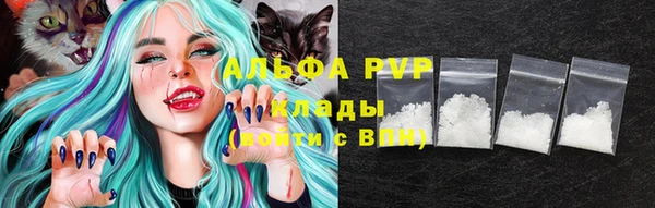 a pvp Белокуриха