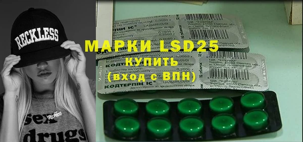 ПСИЛОЦИБИНОВЫЕ ГРИБЫ Белоозёрский
