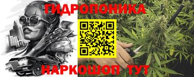 mdpv Новодвинск