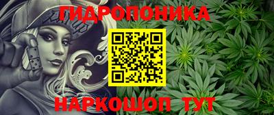 эйфоретик Новокубанск