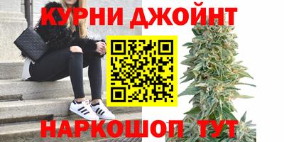 mdpv Новодвинск