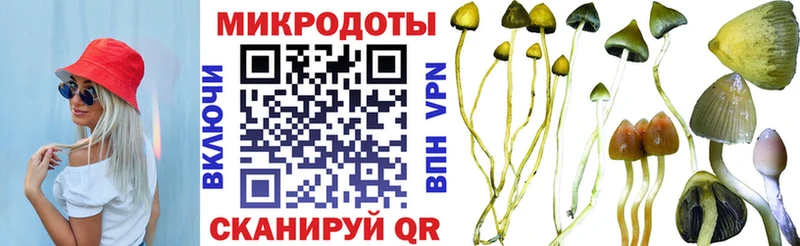 hydra рабочий сайт  магазин продажи наркотиков  Обь  Псилоцибиновые грибы прущие грибы 